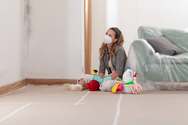 Reliable Crawl Space Mold Remediation contractor in Wellesley, MA by 24 Hour Mold Removal